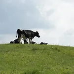 Jora Siedlisko Casa rural *