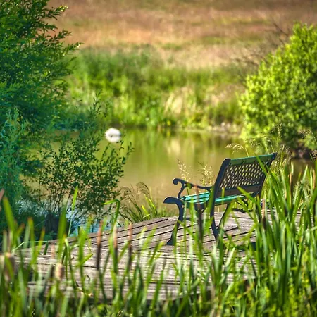 Jora Siedlisko 乡村民宿 Jora Wielka