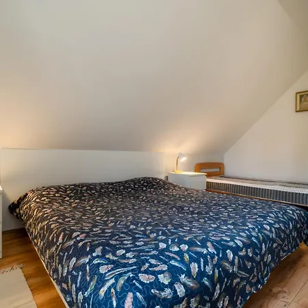 Jora Siedlisko 乡村民宿 *