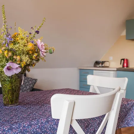 Jora Siedlisko 乡村民宿