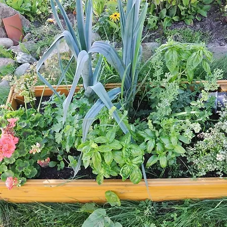 乡村民宿 Jora Siedlisko *