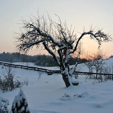 Jora Siedlisko 乡村民宿
