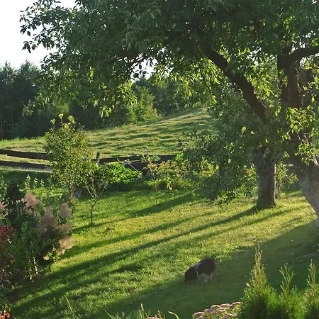 Jora Siedlisko * Jora Wielka