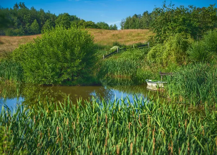 Jora Siedlisko Country house *