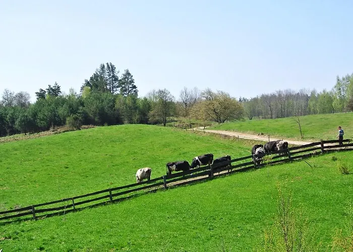 Country house Jora Siedlisko Jora Wielka