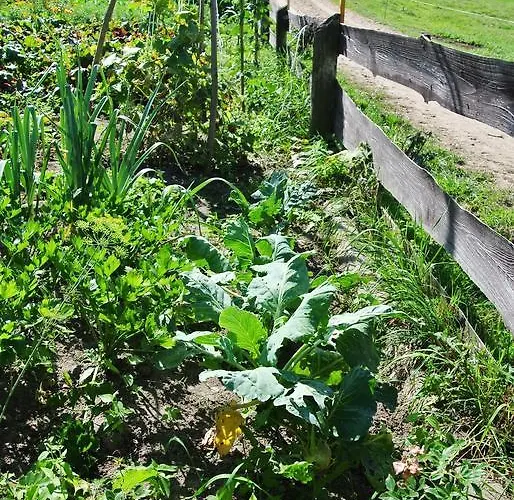 Jora Siedlisko Jora Wielka