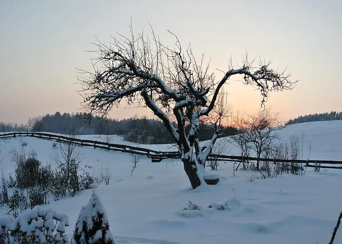 Jora Siedlisko Country house